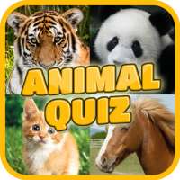 Animal Match Quiz