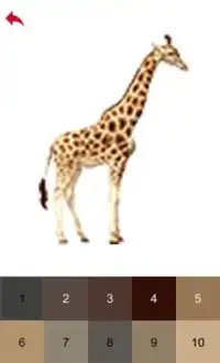 Safari Animals Color by Number - Pixel Art Game Screen Shot 3
