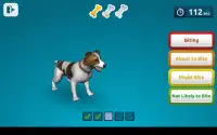 Dog Bite Prevention Strategy Screen Shot 5