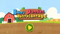 Baby Pandas Obstplantage Screen Shot 5