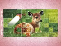 Little Animal Puzzles - Drag & Swap Screen Shot 19
