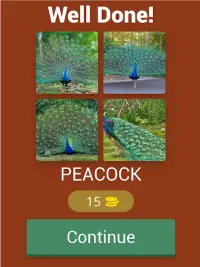 Birds Quiz Screen Shot 13