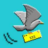 Flappy Pigeon