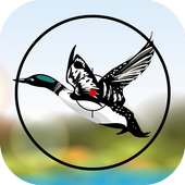 King of Archery Games. Duck Hunting 3D Season