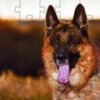 जर्मन शेपर्ड आरा पहेलियाँ नि: शुल्क खेलों Puzzles Screen Shot 3