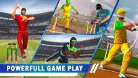 World Cricket Match Game Screen Shot 1