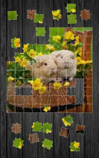 Pets Jigsaw Puzzle Game Screen Shot 6