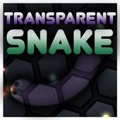 Snake Transparent IO