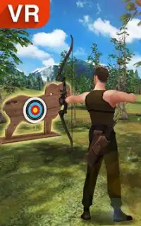 Archery 3D Screen Shot 13