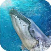 Jeu de baleine bleue: sauvez du poisson d'un