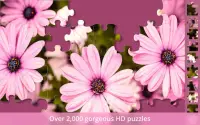 Jigsaw Puzzle Gallery Screen Shot 1