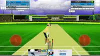 CRICKET 3D Screen Shot 0