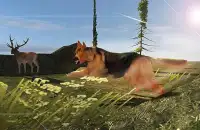 Dog Chase Simulator Screen Shot 2