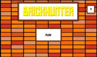 Brick Hunter Screen Shot 0