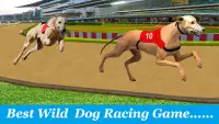 Dog Run - Pet Greyhound Dog Simulator Race 3D 2021 Screen Shot 6
