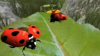 simulator ladybug - permainan hewan Screen Shot 6
