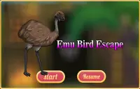 Emu Bird Escape Screen Shot 2