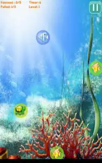 Fish Hunter Screen Shot 3