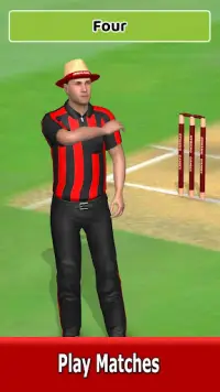 Cricket World Domination Screen Shot 2
