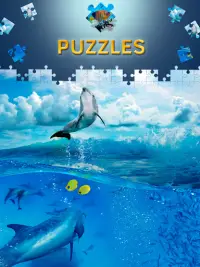 Jeux de puzzle de dauphin Screen Shot 2
