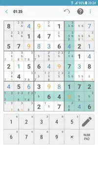 Sudoku Screen Shot 1