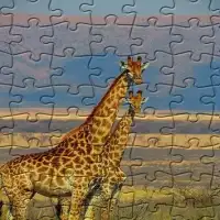 Jigsaw Puzzles - Lost Wild Screen Shot 3
