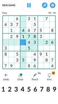 100 Sudoku Screen Shot 3