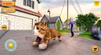 Pussycats Kitten Game: Cat sim 2021 Screen Shot 1