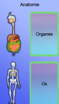 Anatomie Screen Shot 1