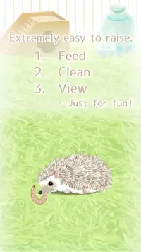 Hedgehog Pet Screen Shot 4