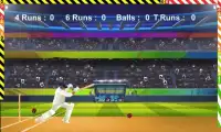 Super Cricket Premiere League Screen Shot 3