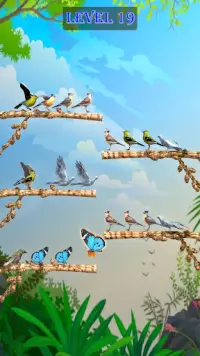Flying Bird Sorting Puzzle Screen Shot 3