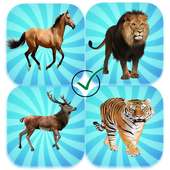 Animal Memory Game HD