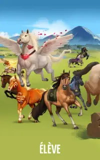 Equideow - jeu gratuit d'élevage de chevaux Screen Shot 16