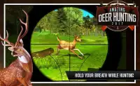 Amazing Jungle Animal Deer Hunting 2018 Screen Shot 3