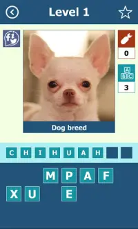 Dogs Breeds: Quiz Screen Shot 1