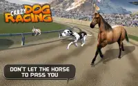 Crazy Dog Racing Screen Shot 7