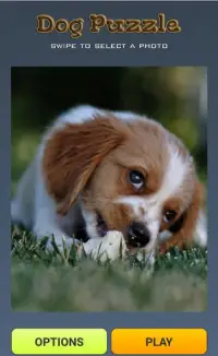 Cute Puppy Dog relaxing rotation puzzles Screen Shot 3