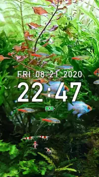 Tropical Fish Tank - Mini Aqua Screen Shot 3