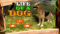 Life of a Dog : Survival Story Screen Shot 8