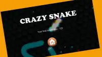 Crazy Snake - Slither Game Screen Shot 6