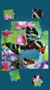Butterfly Jigsaw Puzzles Screen Shot 11