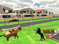 Wild Pony Horse Run Simulator Screen Shot 12