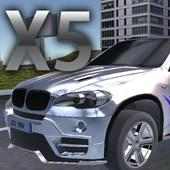 Бумер X5