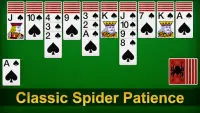 Spider Patiencespel Screen Shot 0