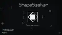 Shapeseeker Screen Shot 0