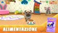 Dog Town: Giochi Cani Animali Screen Shot 7