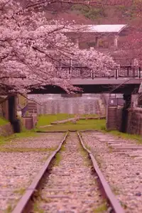 Shinkansen Train Puzzle Screen Shot 0