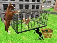 Wild Pony Horse Run Simulator Screen Shot 14
