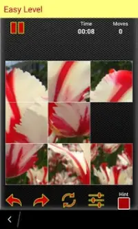 Tulip Jigsaw Puzzles Screen Shot 2